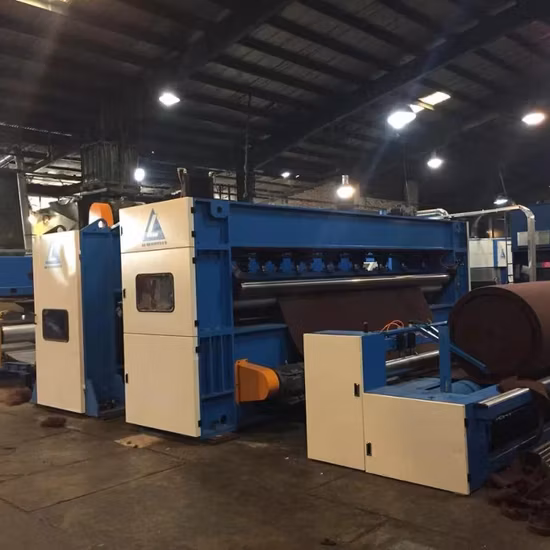 Macchina per la produzione di punzonatrici ad aghi per tappeti in plastica